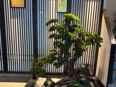 -溪畔•新徽菜(碧湖云溪店)
