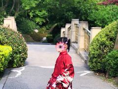 -桃花岛景观公园