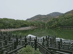 -白马涧龙池景区
