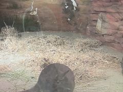 -正佳雨林生态植物园