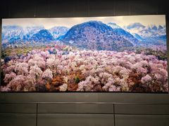 -罗红摄影艺术馆