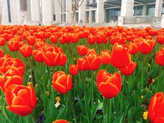 -无锡市市民中心