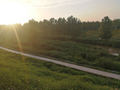 -洨河生态公园