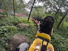 -沂蒙山旅游区云蒙景区(蒙山国家森林公园)