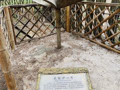 -北海金海湾红树林生态旅游区