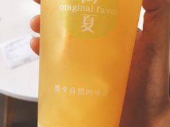 生榨果粒橙-树夏(鹭洲里店)