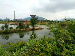 -芒洲湿地公园