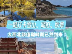 -金塔沙漠胡杨林景区