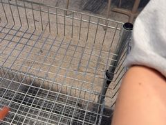 -茶力的小怪兽(梅林卓悦汇店)