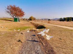 -良渚古城遗址公园