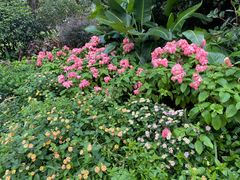 -荔湾湖公园