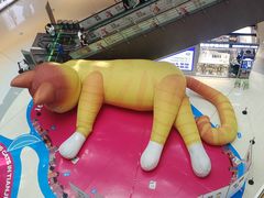 -二斗栗子(西湖道店)
