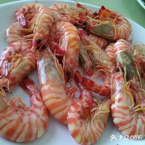金海缘海鲜大排档