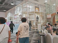 -宝燕乐园(春申店)