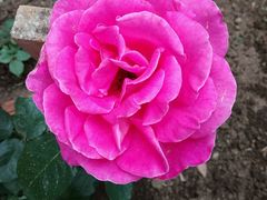 景点-长白岛森林公园