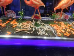 -五月罗马海鲜烤肉自助餐厅(印象城店)