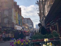 -溪岸路花鸟市场