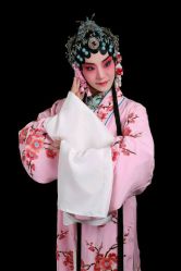 -胭脂猫京剧摄影