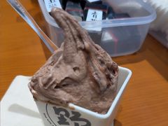 -野人先生现做冰淇淋(北京环宇荟店)