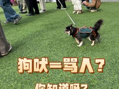 -圣玛利亚女中旧址