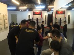 -温鉴良实用咏春拳