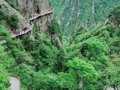 -老君山风景名胜区