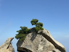 -华山风景名胜区