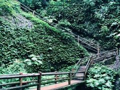 -青城山