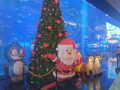 -成都浩海立方海洋公园