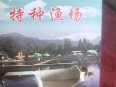 -特种渔场