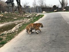 -西安秦岭野生动物园