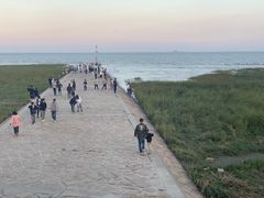 -南汇嘴观海公园