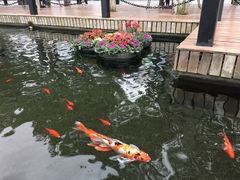 -长阳创谷