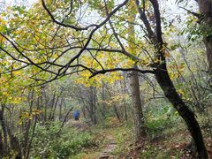 -浙西天池-售票处