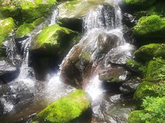 -藏龙百瀑风景区