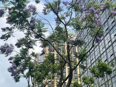 -成都世纪城新国际会展中心