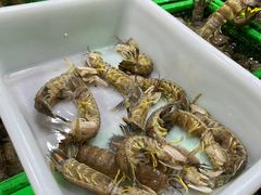 -都斛海鲜街