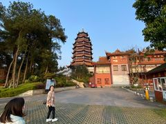 -铁山坪森林公园