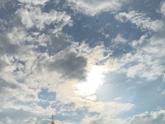 -上海滨江森林公园