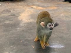 -西安秦岭野生动物园