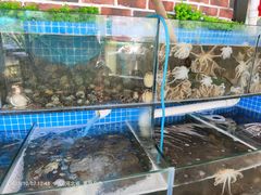 水产区-蟹谢蒸鲜自助餐厅