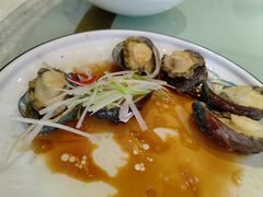 -陶然饺子城(奥体中路店)