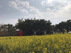 -光明小镇欢乐田园