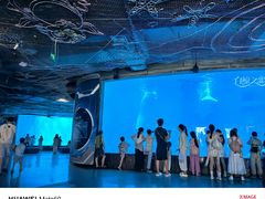 -海合安成都极地海洋公园