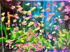-海底捞火锅(威高广场店)