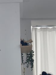-瞧·享轻奢美甲美睫