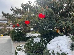 -郑州银基黄帝宫御温泉