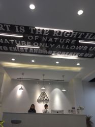 -ASA HAIR SALON