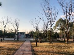 -上海月湖雕塑公园