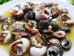 -大树下饭店(春晓镇慈岙社区卫生服务站南)